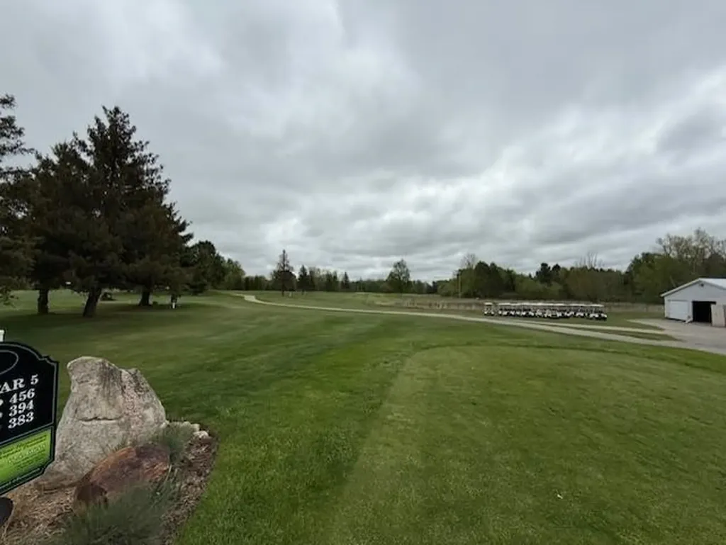 7795 S Clare Avenue Grant Township MI 48617