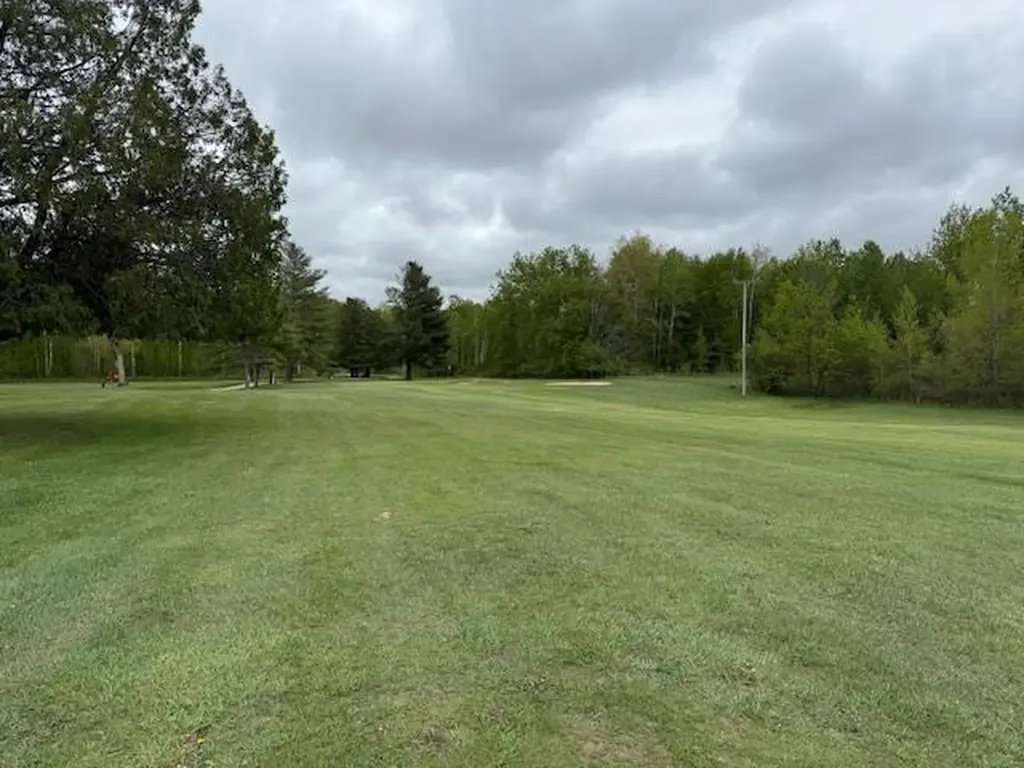 7795 S Clare Avenue Grant Township MI 48617