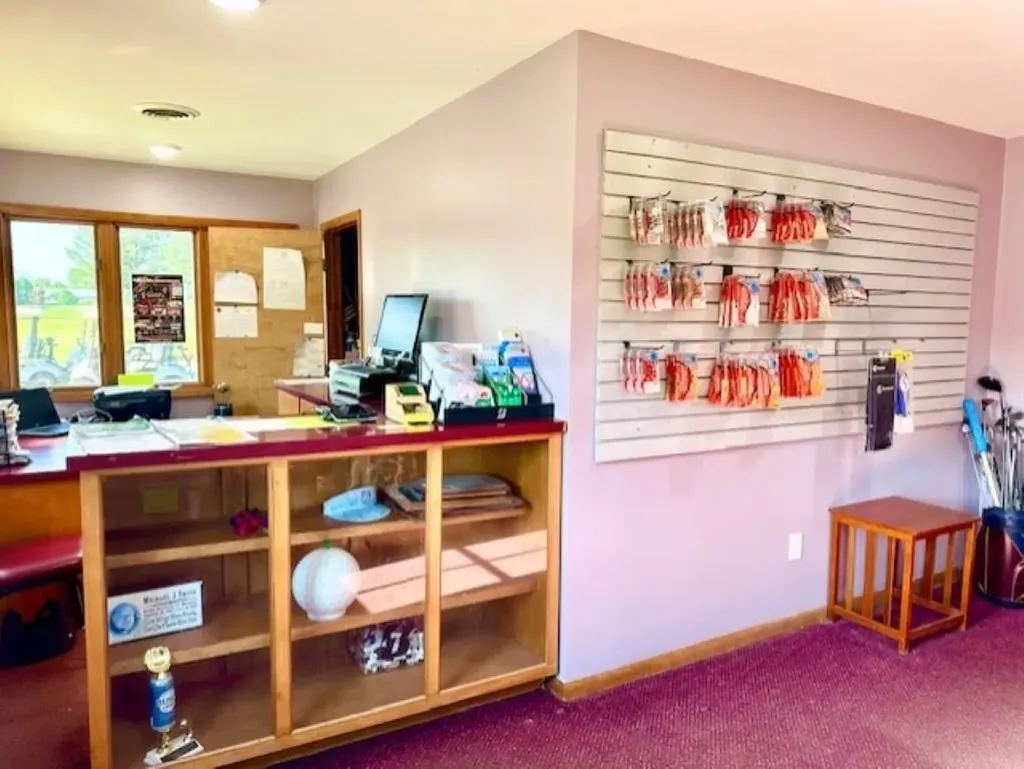 7795 S Clare Avenue Grant Township MI 48617