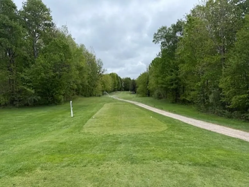 7795 S Clare Avenue Grant Township MI 48617