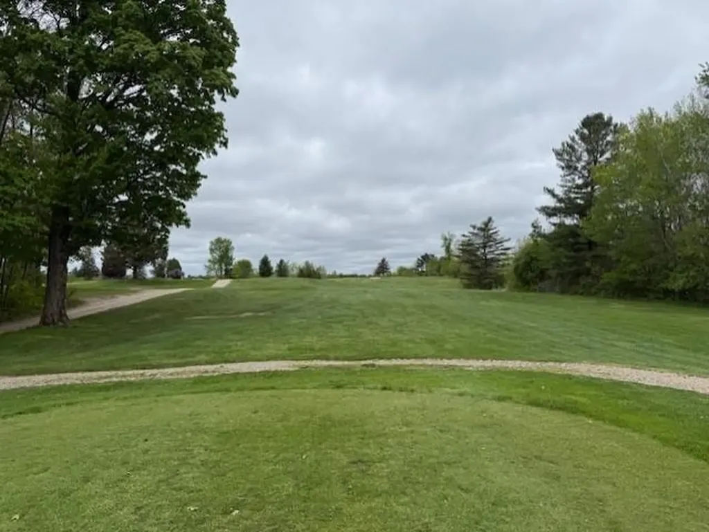 7795 S Clare Avenue Grant Township MI 48617