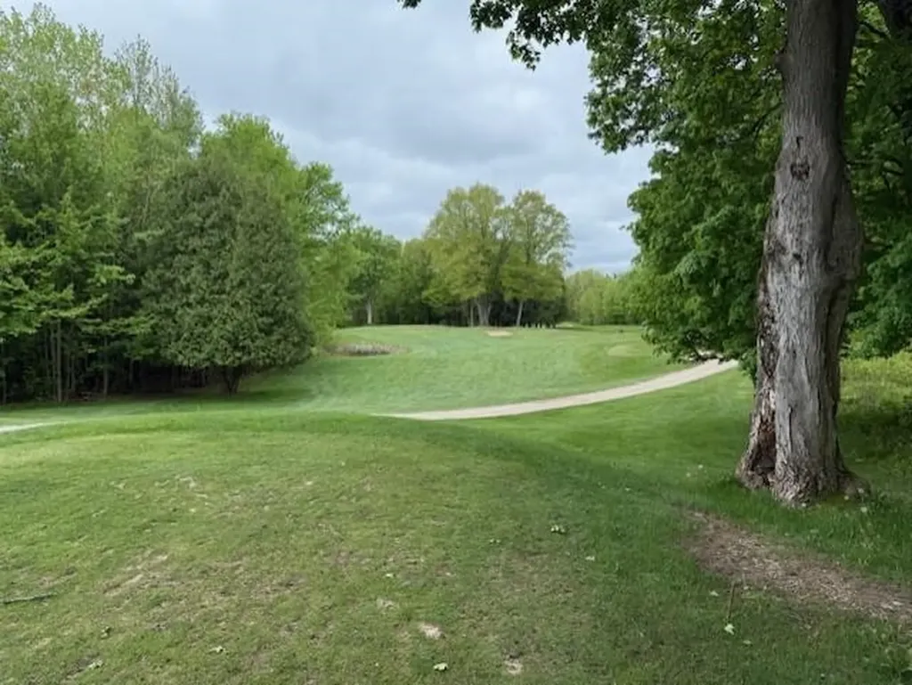 7795 S Clare Avenue Grant Township MI 48617