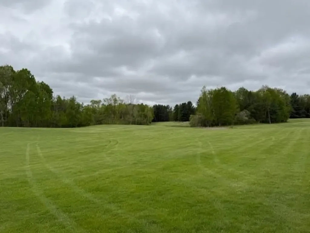 7795 S Clare Avenue Grant Township MI 48617