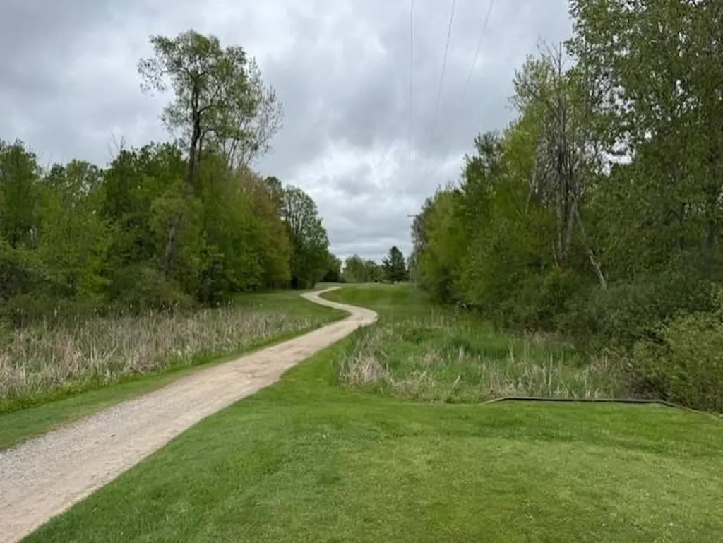 7795 S Clare Avenue Grant Township MI 48617