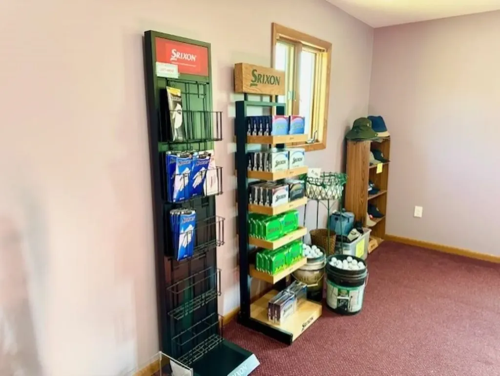 7795 S Clare Avenue Grant Township MI 48617