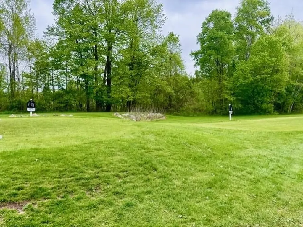 7795 S Clare Avenue Grant Township MI 48617