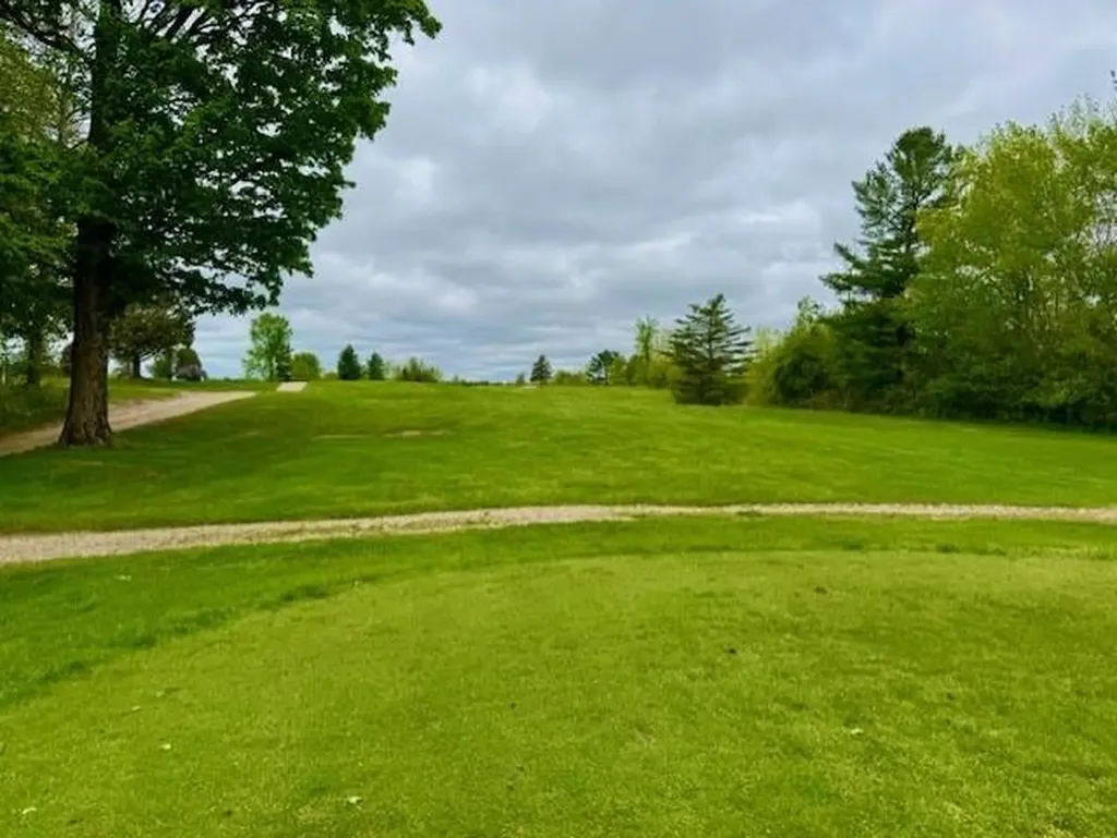 7795 S Clare Avenue Grant Township MI 48617