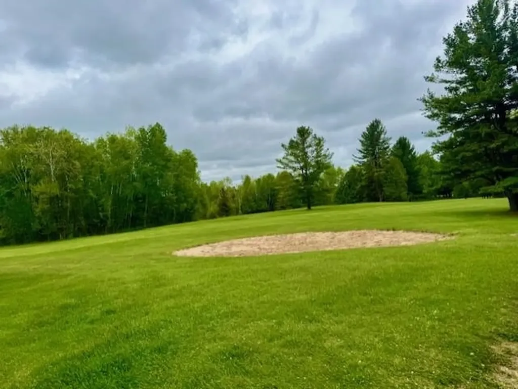 7795 S Clare Avenue Grant Township MI 48617