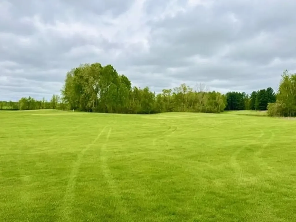 7795 S Clare Avenue Grant Township MI 48617