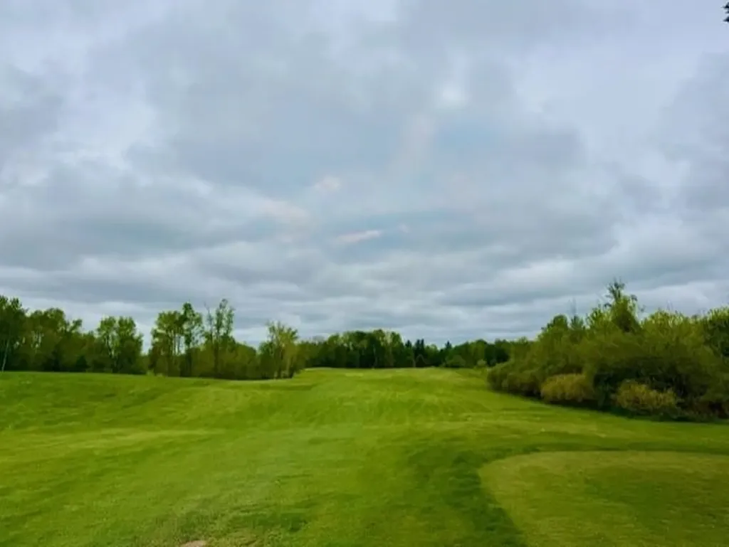 7795 S Clare Avenue Grant Township MI 48617