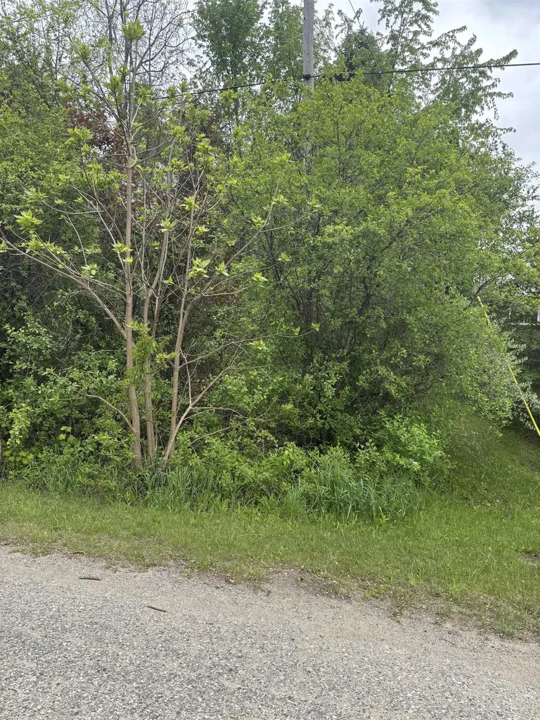 Lot 49 Leona Drive Chippewa Township MI 48858