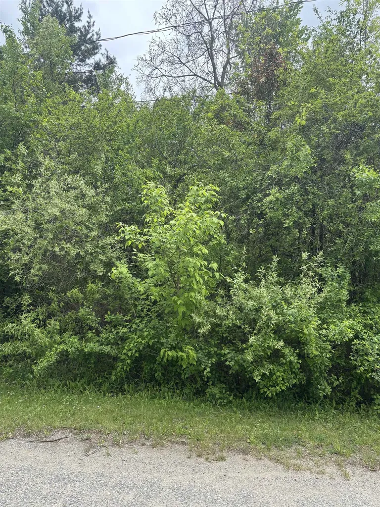 Lot 49 Leona Drive Chippewa Township MI 48858