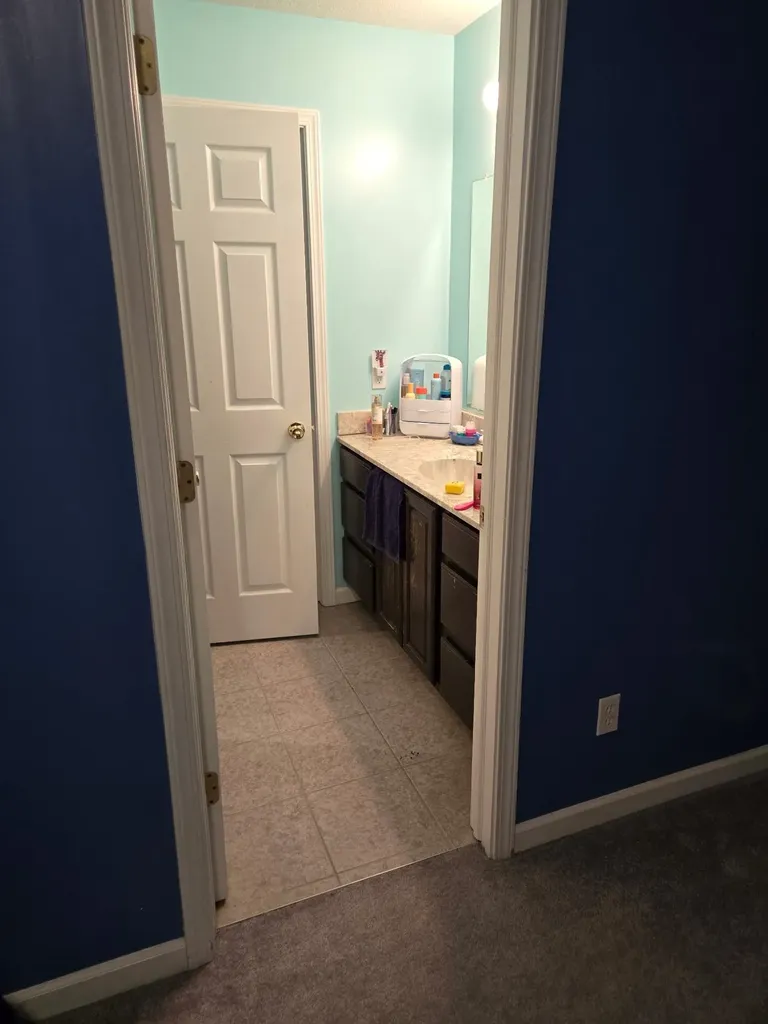 4695 E East Jordan Road Isabella Township MI 48858