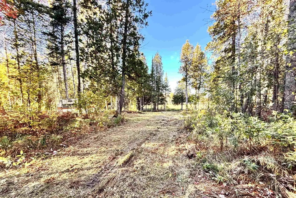 Tbd Keweenaw Pass Road Torch Lake Township MI 49945
