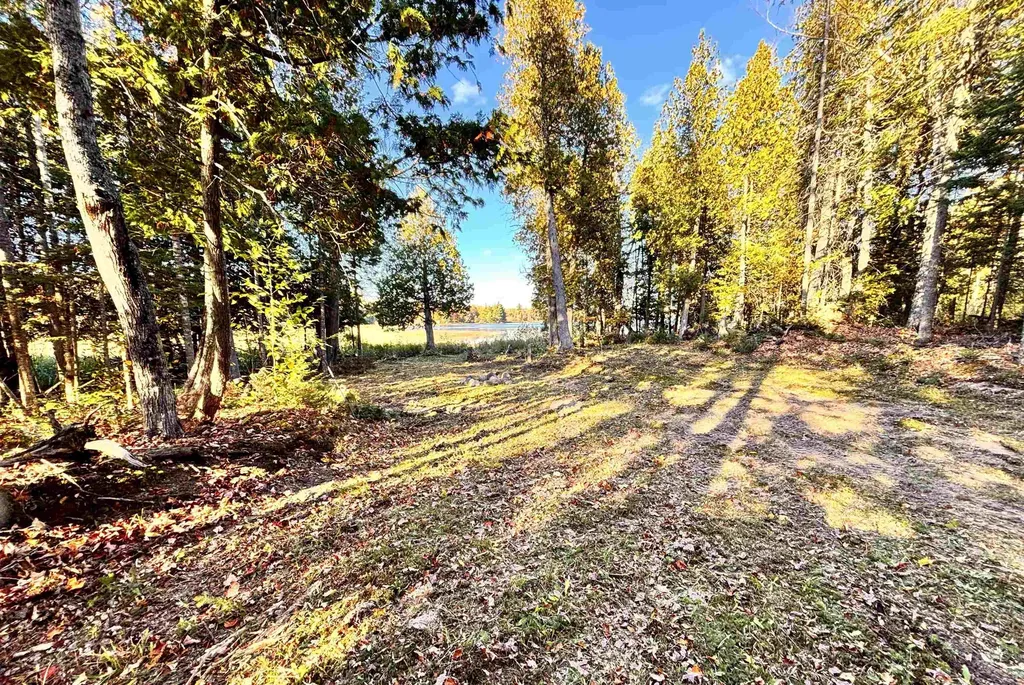 Tbd Keweenaw Pass Road Torch Lake Township MI 49945