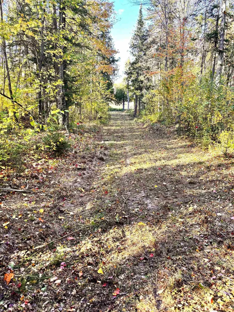 Tbd Keweenaw Pass Road Torch Lake Township MI 49945