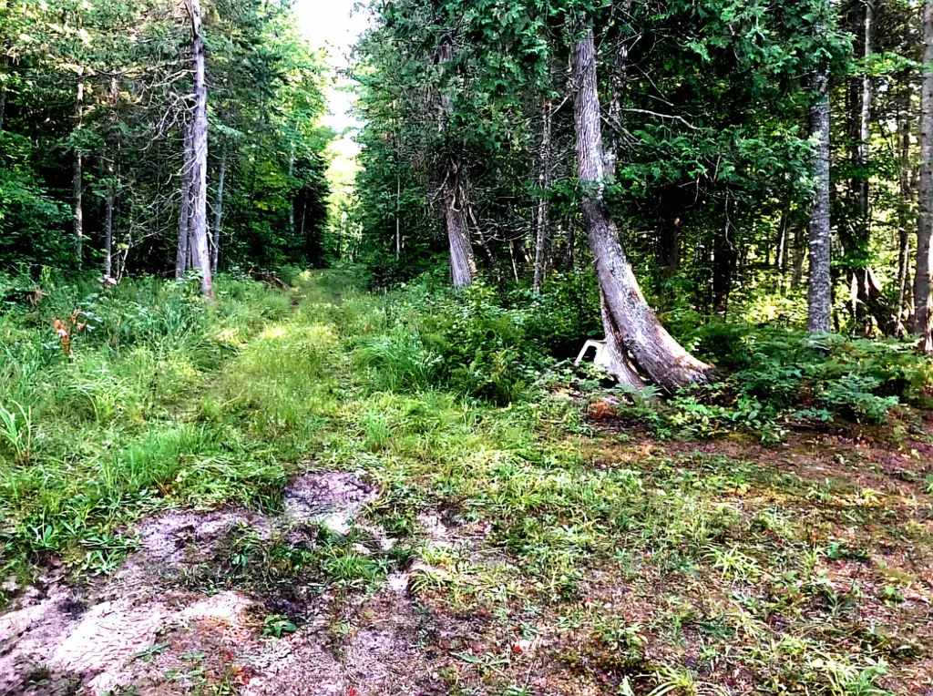Tbd Keweenaw Pass Road Torch Lake Township MI 49945