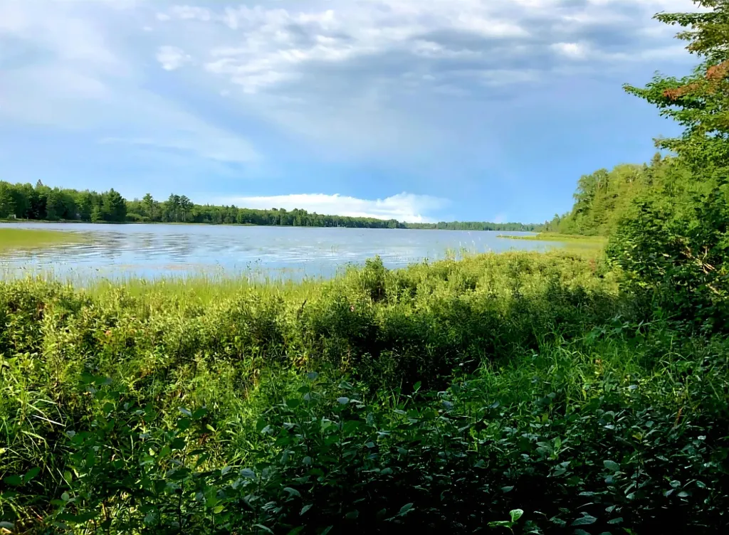 Tbd Keweenaw Pass Road Torch Lake Township MI 49945