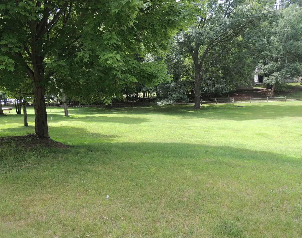 1030 Granada Drive Lake Isabella Village MI 48893