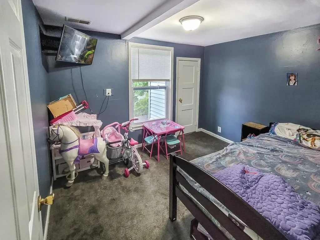 221 North Street St. Louis City MI 48880