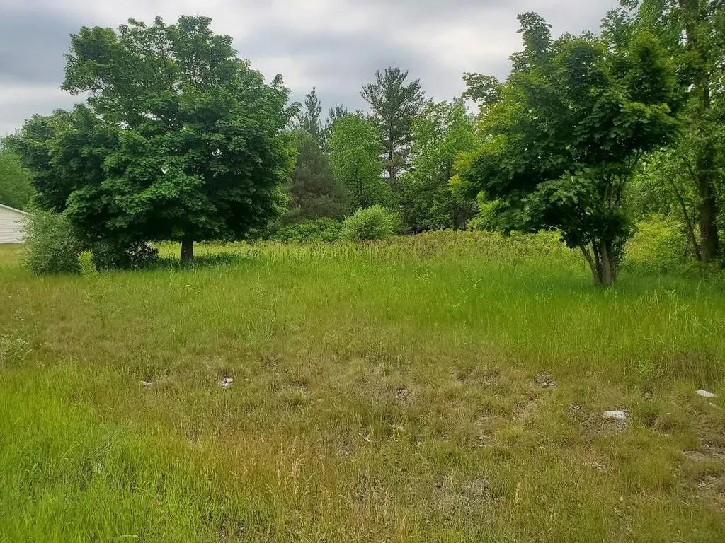 7205 E Pickard Road Chippewa Township MI 48858