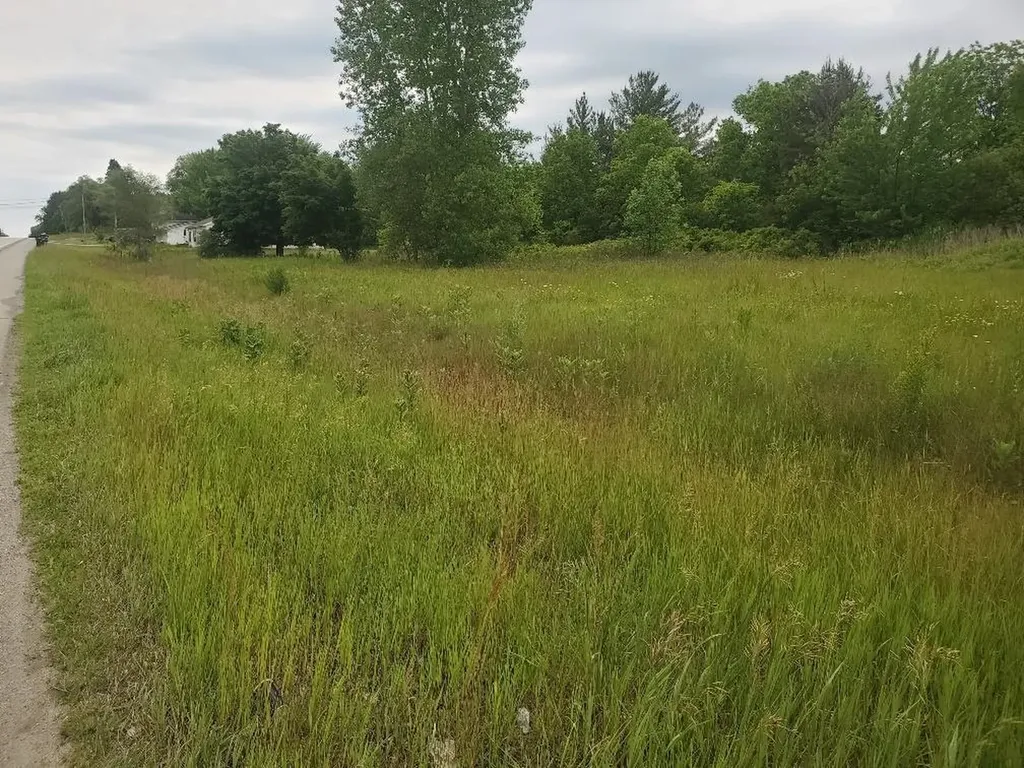 7205 E Pickard Road Chippewa Township MI 48858