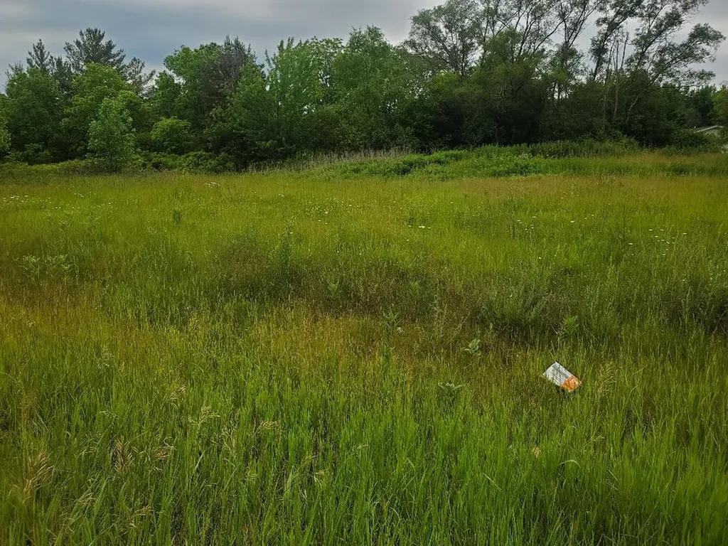 7205 E Pickard Road Chippewa Township MI 48858