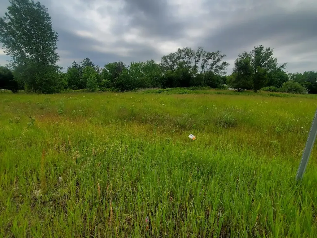 7205 E Pickard Road Chippewa Township MI 48858
