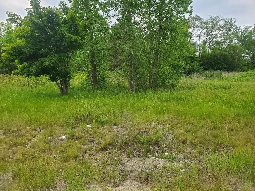 7205 E Pickard Road Chippewa Township MI 48858
