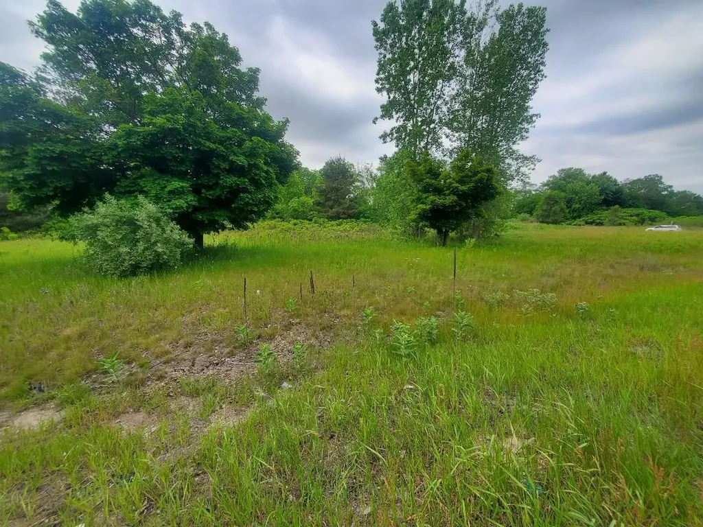 7205 E Pickard Road Chippewa Township MI 48858