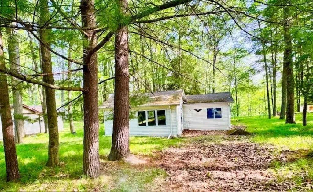 751 Bungo Lake Road Lincoln Township MI 48625