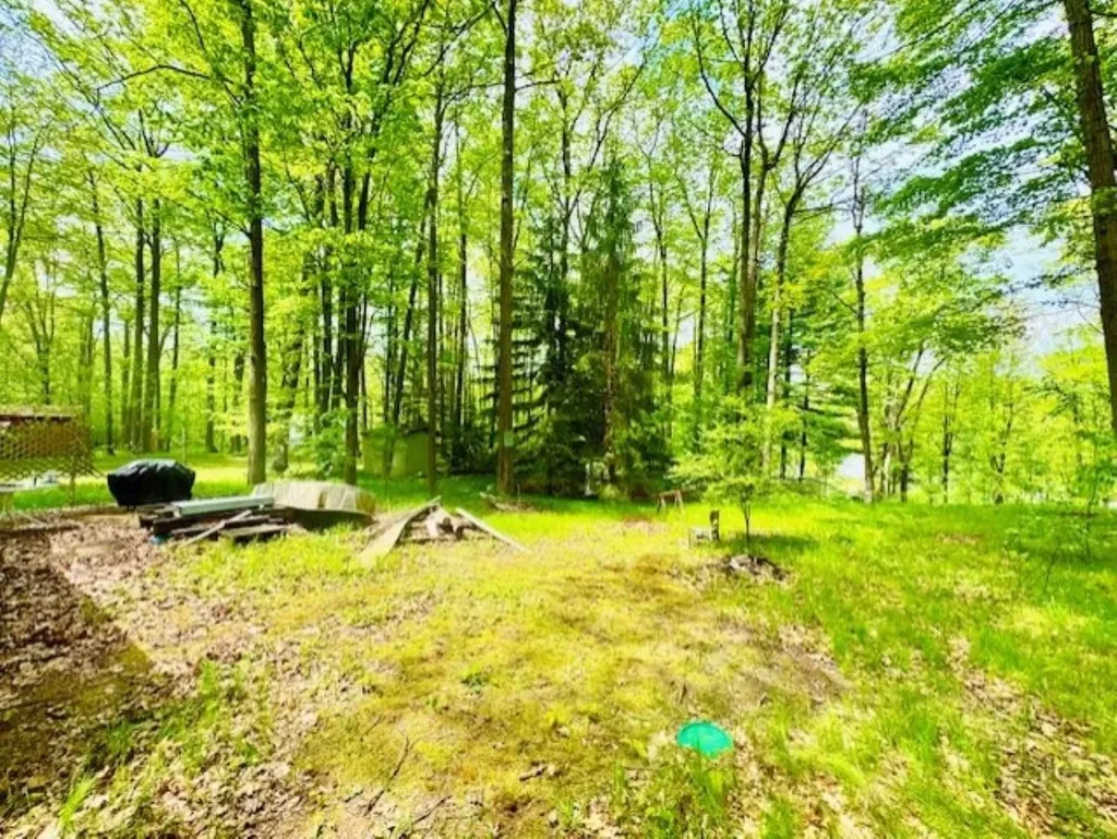 751 Bungo Lake Road Lincoln Township MI 48625