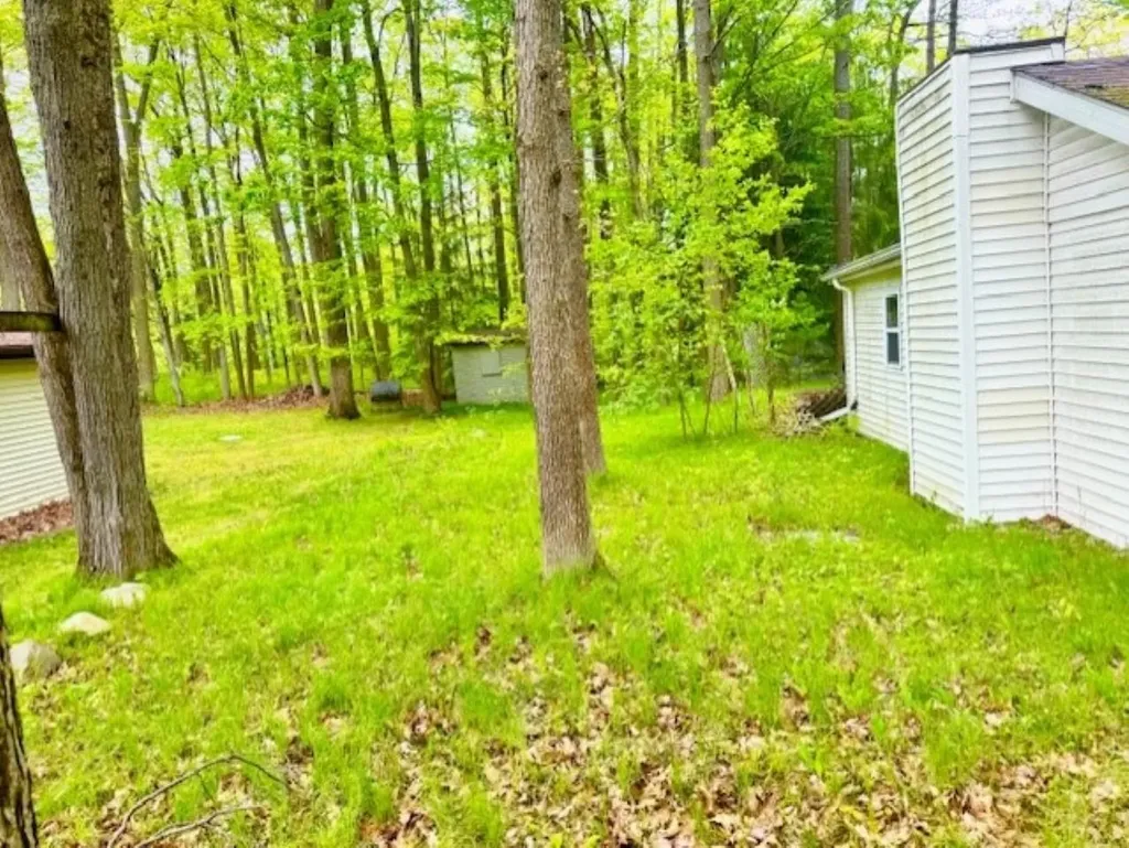 751 Bungo Lake Road Lincoln Township MI 48625