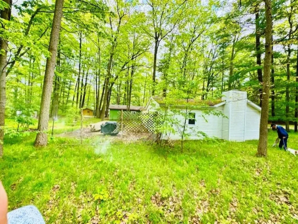 751 Bungo Lake Road Lincoln Township MI 48625