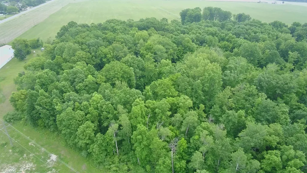8386 E Sidney Road Crystal Township MI 48818
