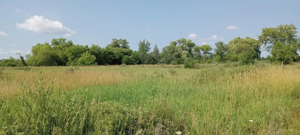 5229 Sage Lake Road Richland Township MI 48756