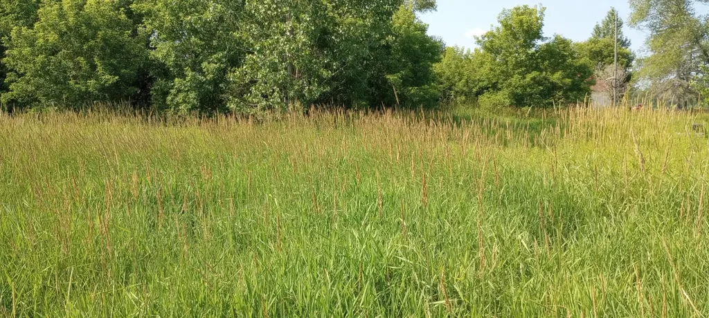 5229 Sage Lake Road Richland Township MI 48756