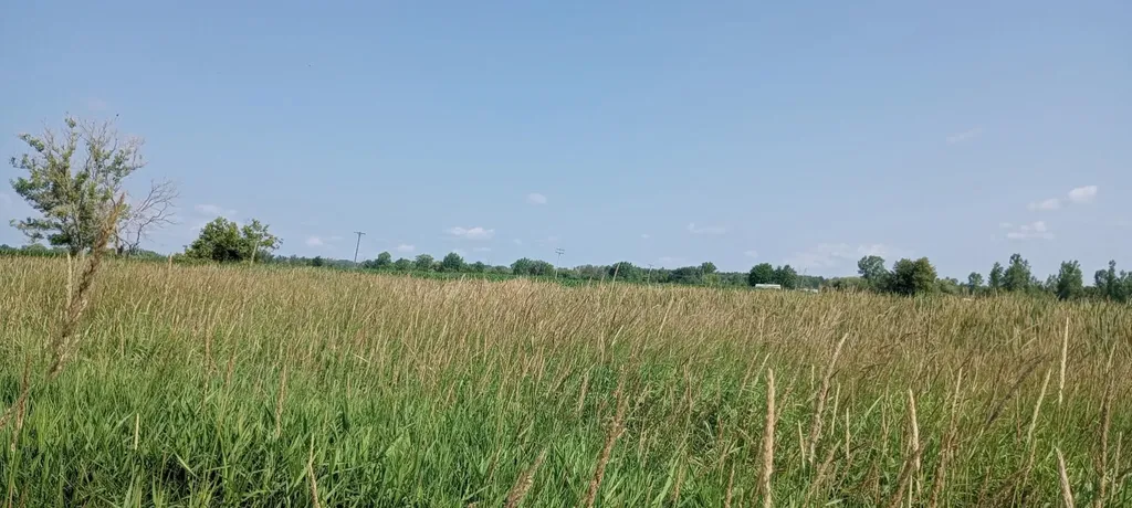 5229 Sage Lake Road Richland Township MI 48756
