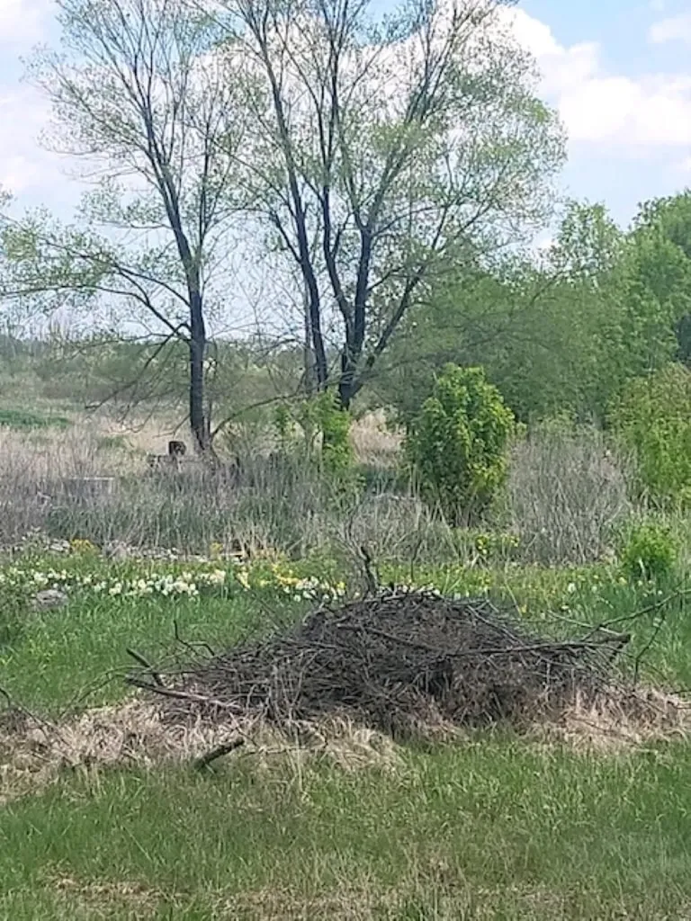 5229 Sage Lake Road Richland Township MI 48756