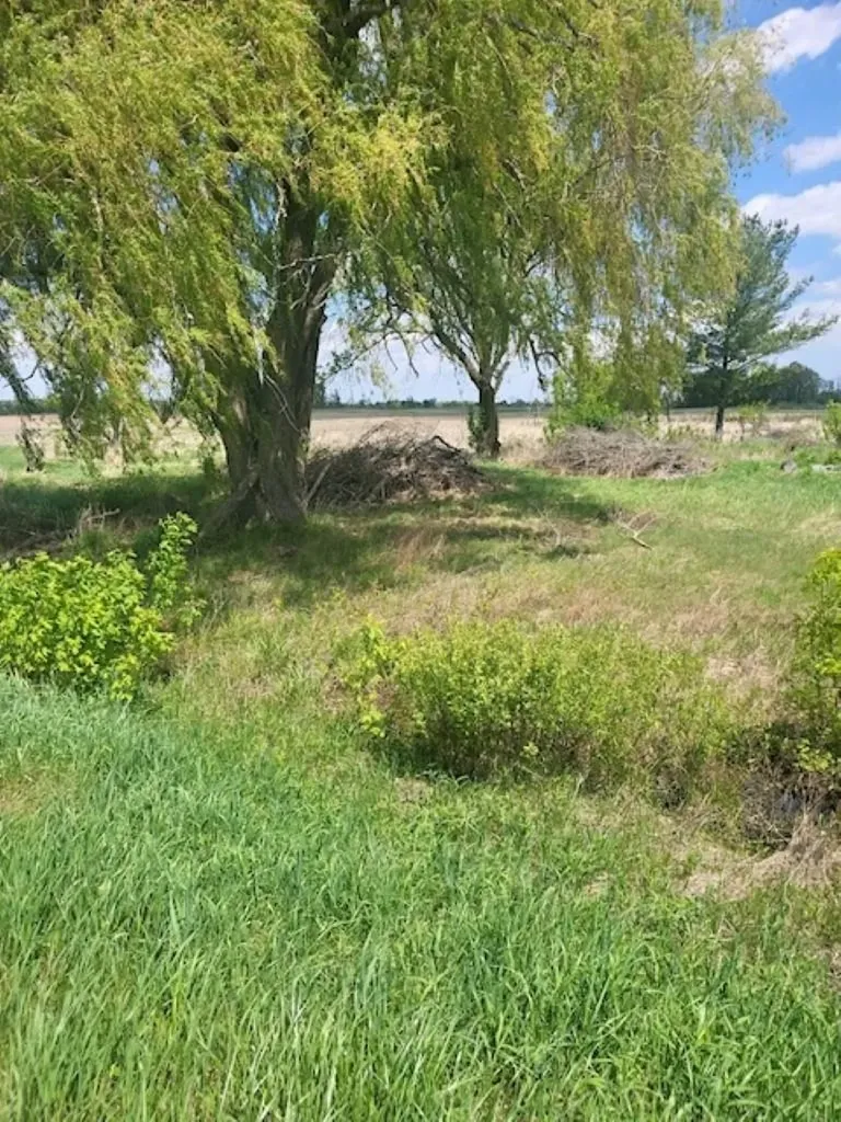 5229 Sage Lake Road Richland Township MI 48756