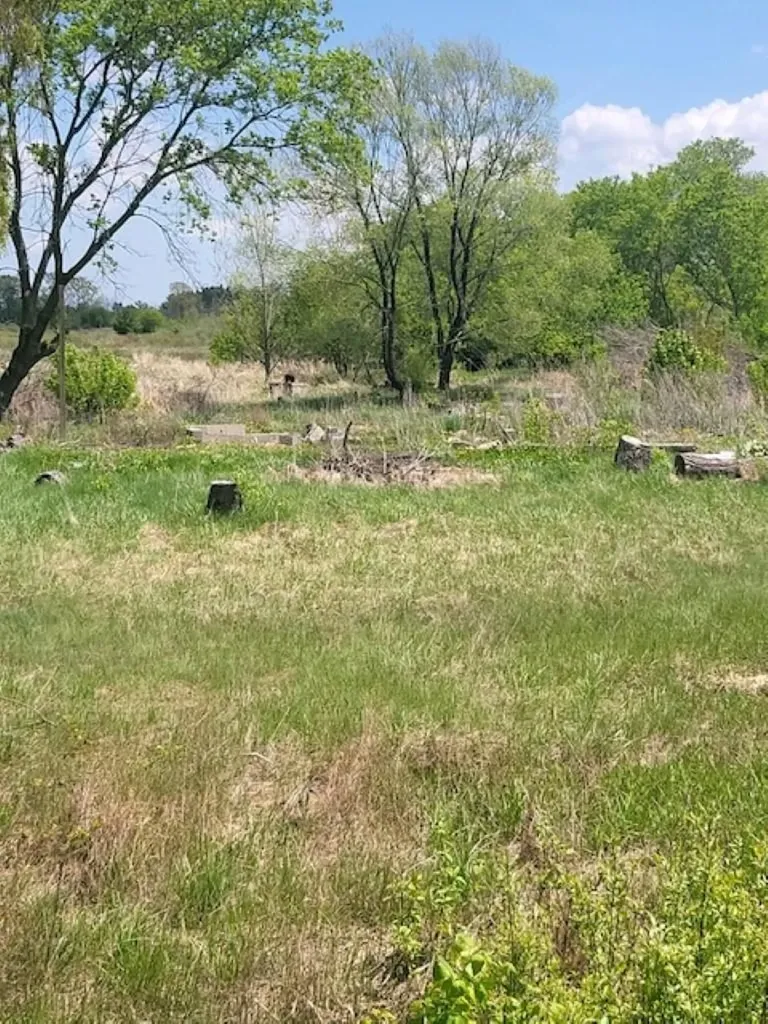 5229 Sage Lake Road Richland Township MI 48756