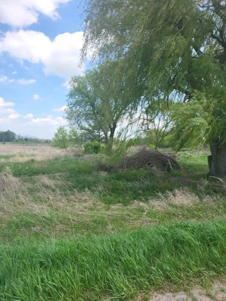 5229 Sage Lake Road Richland Township MI 48756