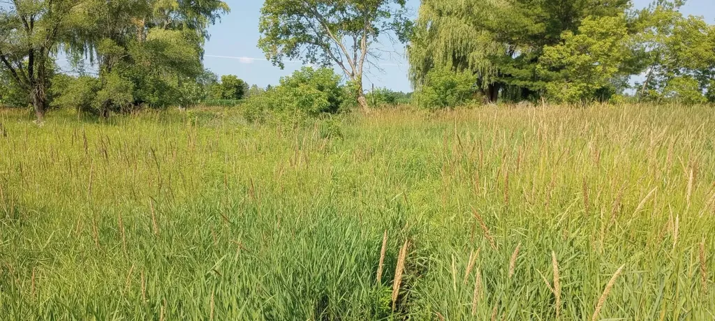 5229 Sage Lake Road Richland Township MI 48756