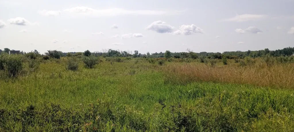 5229 Sage Lake Road Richland Township MI 48756
