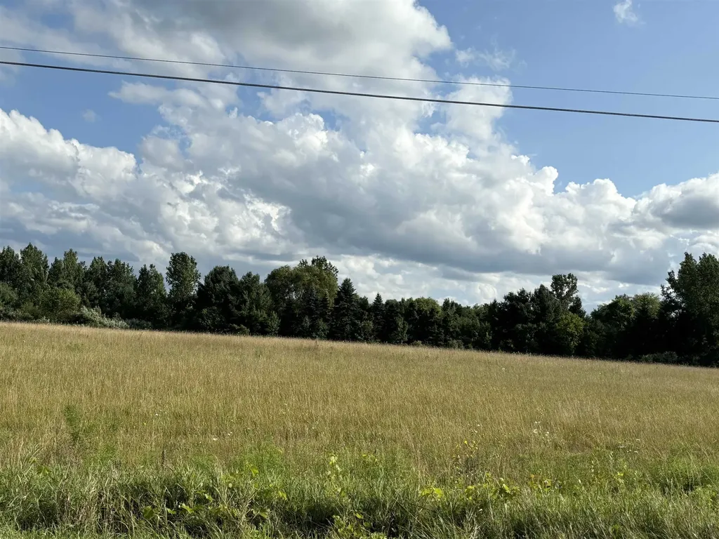 Tbd Shepherd Road Mt. Pleasant City MI 48858