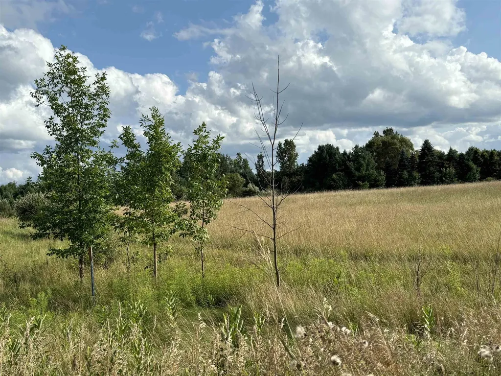 Tbd Shepherd Road Mt. Pleasant City MI 48858
