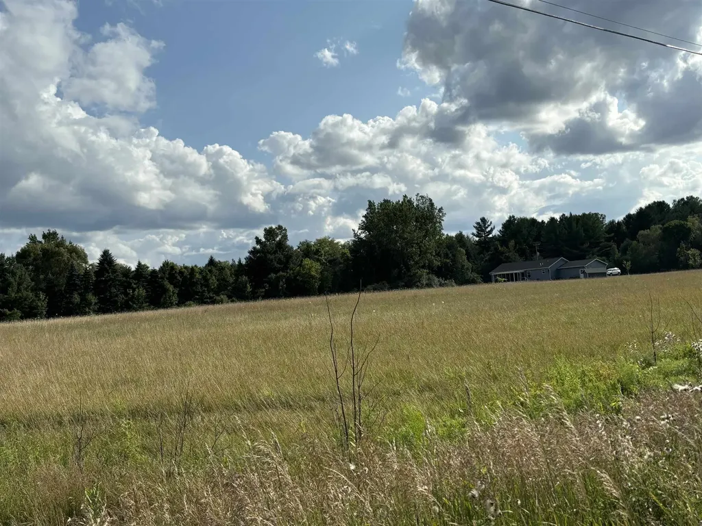 Tbd Shepherd Road Mt. Pleasant City MI 48858
