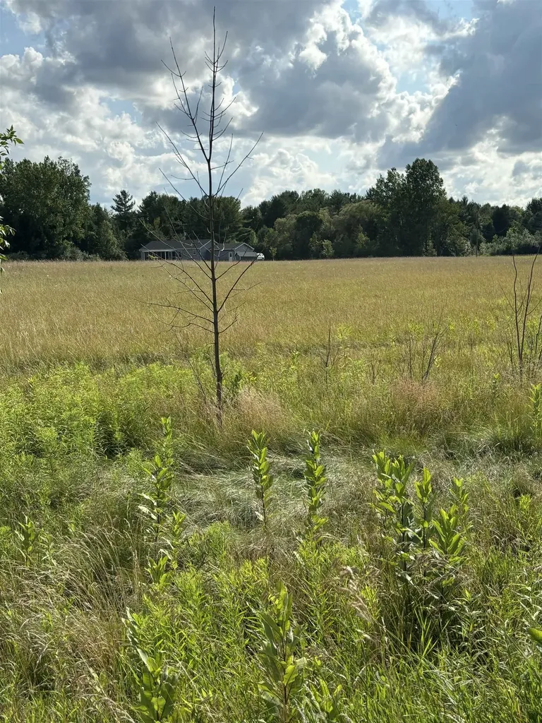 Tbd Shepherd Road Mt. Pleasant City MI 48858