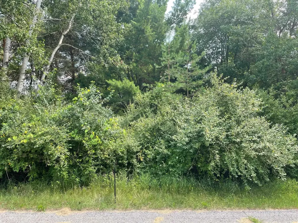1090 Carmen Drive Sherman Township MI 48893