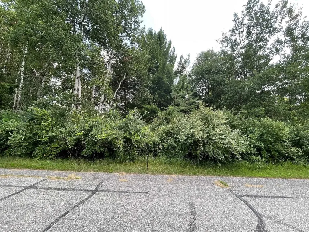 1090 Carmen Drive Sherman Township MI 48893
